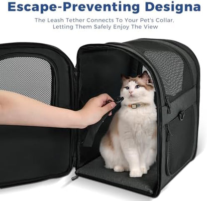 Apollo Walker Cat Carrier Backpack for Small Dogs and Cats Up to 18 lb