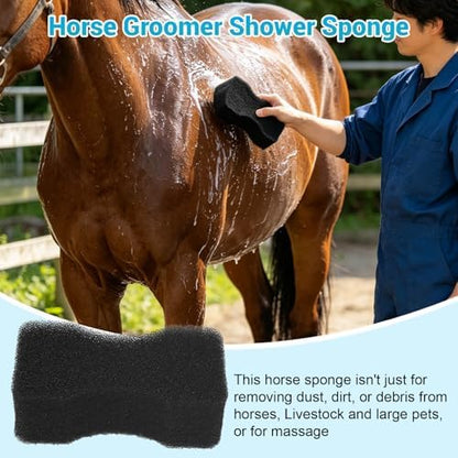 JCZ Horse Sponges for Bathing & Washing, 2.56 inch Thick - 3 Pcs