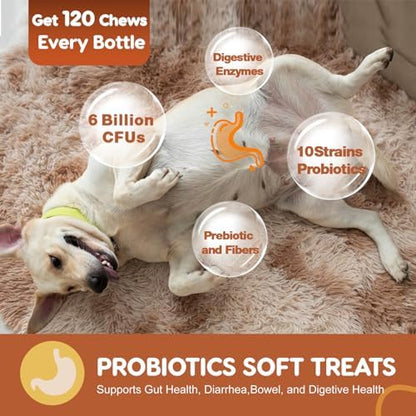 ZEBORA Probiotics for Dogs, Digestive & Itch Relief, 120 Soft Chews