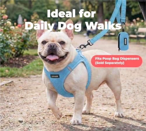 Best Pet Supplies Voyager Nylon Dog Leash - Baby Blue, Medium
