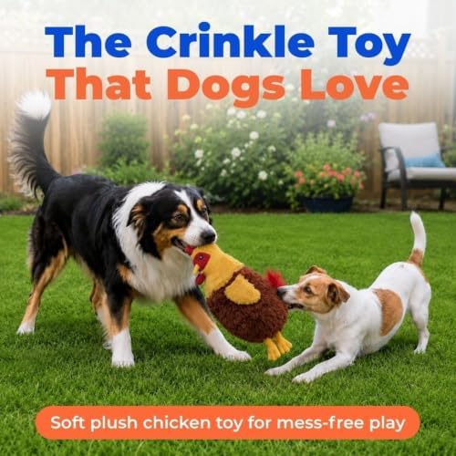 Best Pet Supplies Interactive Squeaky Dog Toy - Crinkle Chicken, Red