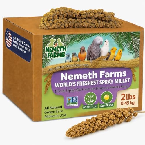 Nemeth Farms Spray Millet - Edible Tops Only, Non-GMO and Sun-Dried - 2 lbs for Cockatiels, Lovebirds and Budgies