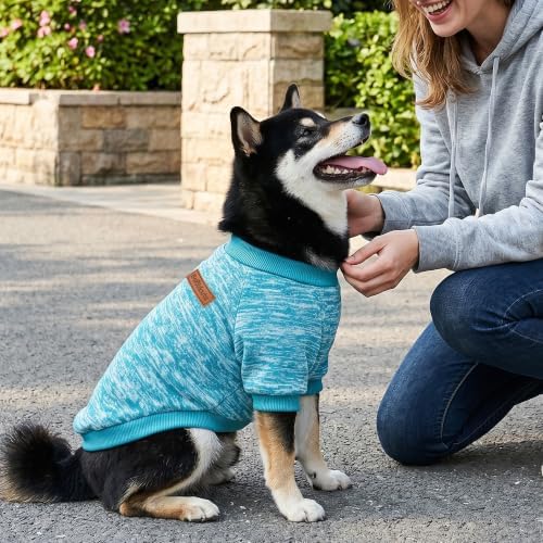 2 Pack Dog Sweaters for Small Dogs Girl Boy Winter Fleece Clothes Warm Soft Dog Sweatshirt Outfit for Dogs Cats Pet Apparel (Light Blue+Matcha Green, M (Back: 13.7", Chest: 17.7", 10-14 lbs))