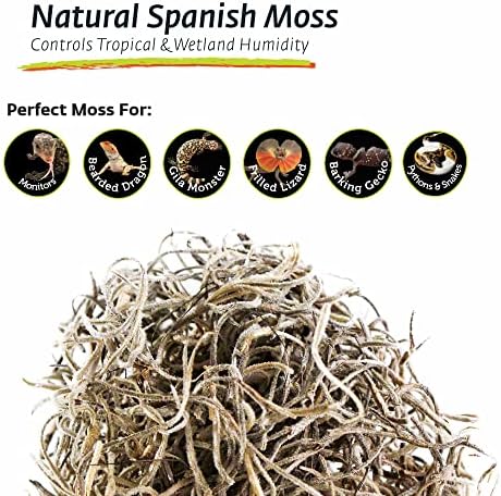 Galápagos (05160) Spanish Moss, Mini Bag