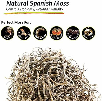 Galápagos (05160) Spanish Moss, Mini Bag