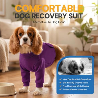 Queenmore Recovery Sleeve for Dogs Front Leg, Dog Recovery Sleeves, Dog Surgical Recovery Suit Female, Pet Elbow Protector Cone Collar Alternatives, Purple, XS
