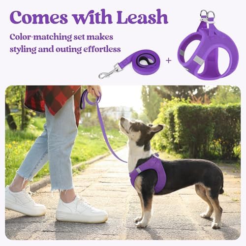 rabbitgoo Dog Harness Small Sized and Leash Set, Step-in Puppy Pet Vest
