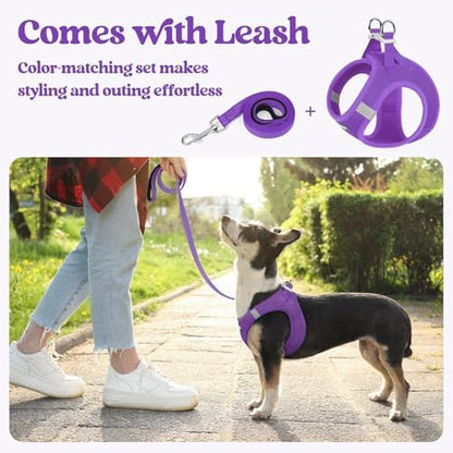 rabbitgoo Dog Harness Small Sized and Leash Set, Step-in Puppy Pet Vest