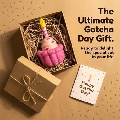 Glaciart One Wool Cat Birthday Cake Toy – Handmade Plush Catnip Design, Interactive Play for Indoor Cats, for Kittens & Cat Lovers