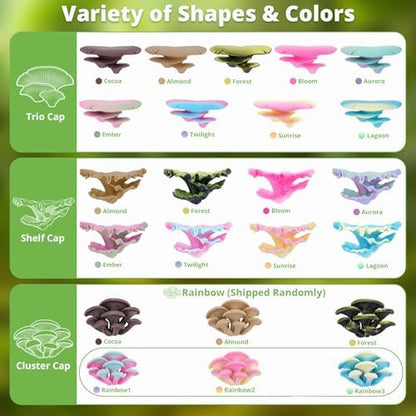 Westant Mushroom Decor for Reptile Tank, Pet-Safe (Aurora, Trio Cap)