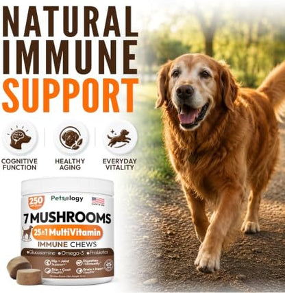 Turkey Tail Mushroom for Dogs - 250 Chews - Lion's Mane, Shiitake & Reishi