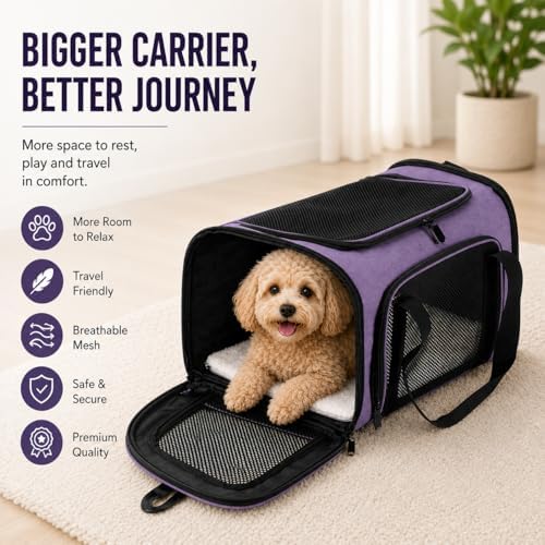 Large Pet Carrier for Cats and Small Dogs, Soft-Sided Travel Carrier with Safety Leash, Scratch-Resistant Mesh, Reinforced PVC Support Base, Foldable Design, 20 x 13 x 13 Inches