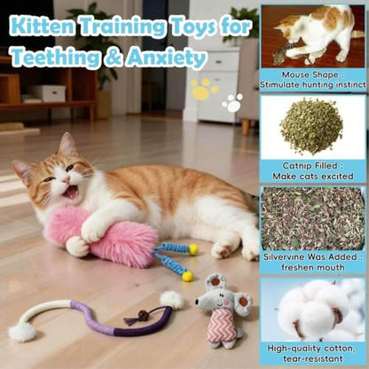 7-in-1 Kitten Toys for Indoor Cats with Washable Adhesive Suction Cup, Hanging Interactive Cat Toys, Silvervine Stick and Sisal Chew Rope Catnip Teething Toy for Bored Kitten (Pink)
