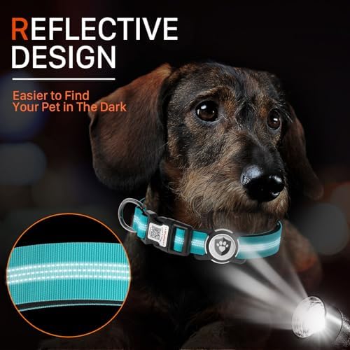 Waterproof AirTag Dog Collar with QR Code Dog Tag, Blue M