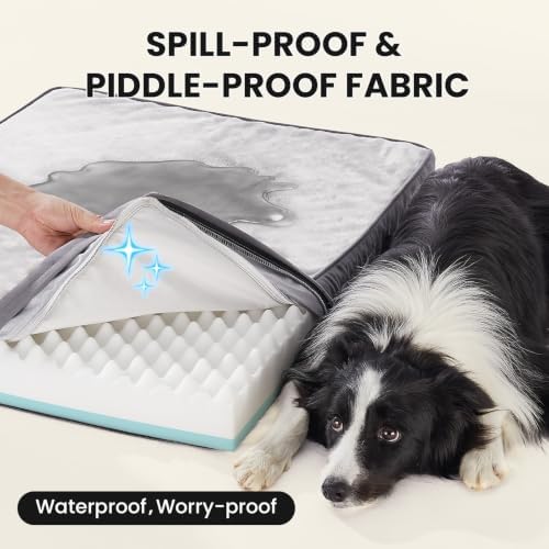 OhGeni Orthopedic Waterproof Med Large Dog Bed, Memory Foam, 36 inch(Gray)