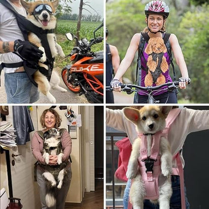 PetBonus Dog Front Carrier Backpacks, Legs Out Easy-fit Puppy Chest Carrier