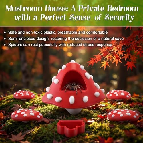 6 Pcs Jumping Spider Enclosure Accessories with Magnetic Mushroom Hide