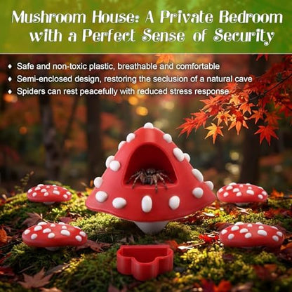 6 Pcs Jumping Spider Enclosure Accessories with Magnetic Mushroom Hide