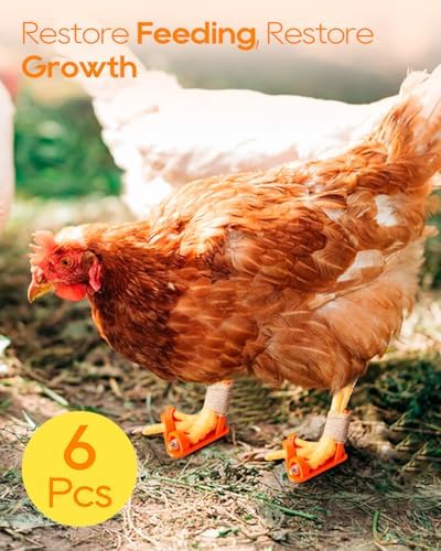 6Pcs Chicken Leg Splints, 3 Sizes (S/M/L) Adjustable Splint for Bumblefoot Treatment, Broken Feet, Splay Leg, Curled Toes, Osteoarthritis in Hens, All Growth Stages Covered, Orange Black and Red