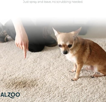 ALZOO Concentrated Pet Stain & Odor Remover Refill, Makes Up to 96 Fl Oz Cleaning Solution, Enzyme & Probiotic Formula, Refill Bottles for Dogs & Cats, 1.1 Fl Oz (Pack of 3)