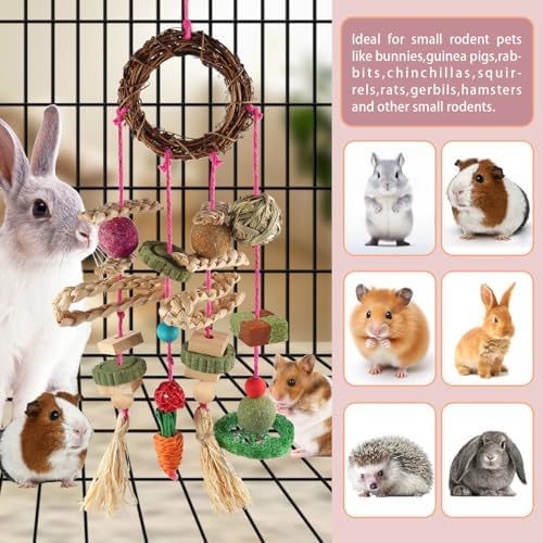 YIXUND Rabbit & Guinea Pig Toys - Hamster & Bunny Toys - Natural Timothy Hay & Apple Wood Sticks - Chinchilla Teeth Care - Handmade Dream Catcher