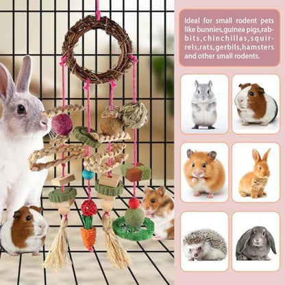 YIXUND Rabbit & Guinea Pig Toys - Hamster & Bunny Toys - Natural Timothy Hay & Apple Wood Sticks - Chinchilla Teeth Care - Handmade Dream Catcher