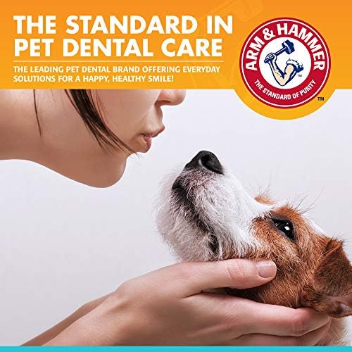 Arm & Hammer Fresh Breath Enzymatic Dog Toothpaste, Chicken, 2.5 Oz, 72-Pk