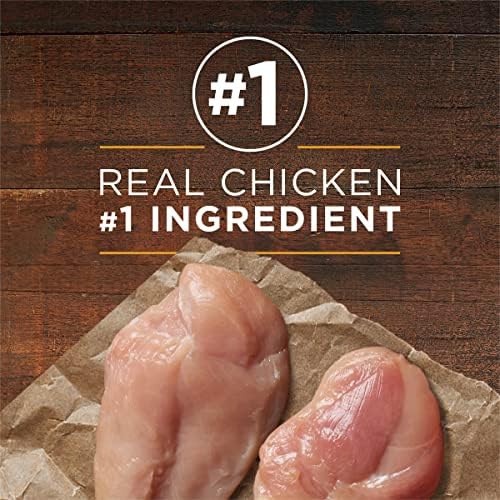 Purina ONE Chicken & Brown Rice Wet Dog Food Classic Ground (12) 13 oz Cans