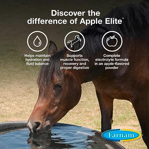 Farnam Apple Elite Horse Electrolyte Powder, Replaces Minerals Lost in Sweat During Exercise, Extreme Weather & Stressful Conditions, 5 lb., 40 Day Supply (Pack of 2)