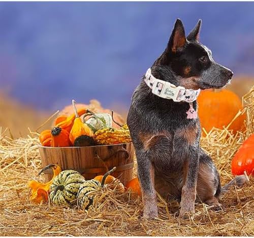 Halloween Dog Collar-Ghost Print Pet Collar Fall Adjustable Cute Lightweight Quick-Release Buckle Collars Holiday Comfortable Cotton Puppy Collars for Large Dogs