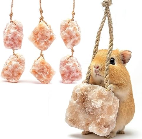 KR. LIF 6 Count Rabbit Treats Salt Lick for Small Pets cage Accessories | Bunny Treats for Rabbit chew Toys pet Rock Guinea Pig Accessories