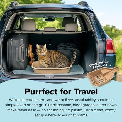 Kitty Sift (Set of 1 Litter Box & 5 Sifting Liners) Disposable Sifting Cat Litter Box Jumbo, 6 Count, Durable and Portable for Travel with Odor Control