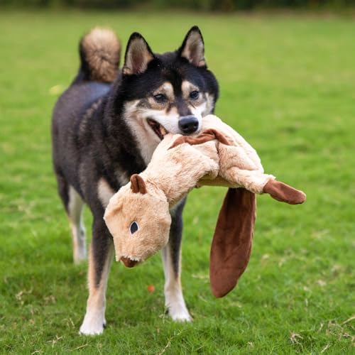 Best Pet Supplies 2-in-1 Stuffless Squeaky Dog Toy - Squirrel, Large