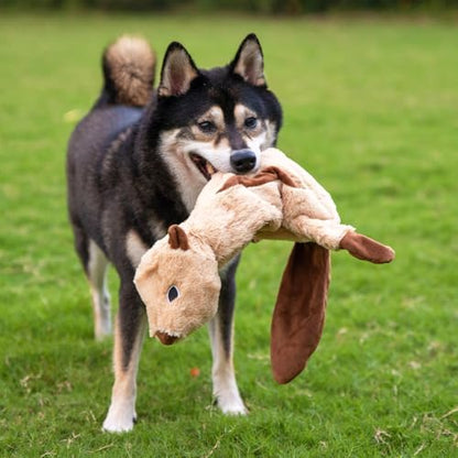 Best Pet Supplies 2-in-1 Stuffless Squeaky Dog Toy - Squirrel, Medium