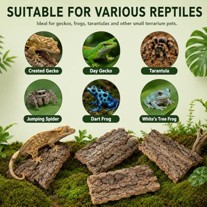 SHINEOFI 4 Pack Natural Cork Bark Reptile Hides for Terrariums