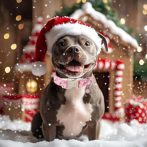 Christmas Tree Dog Collar for Large Dogs, Cute Girl Dog Collar