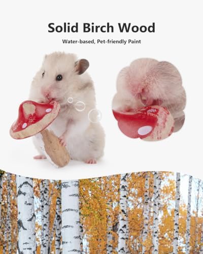 Niteangel Hamster Chew & Decor Toys: Pack of 2 Mushroom-Shape & Beech Wood