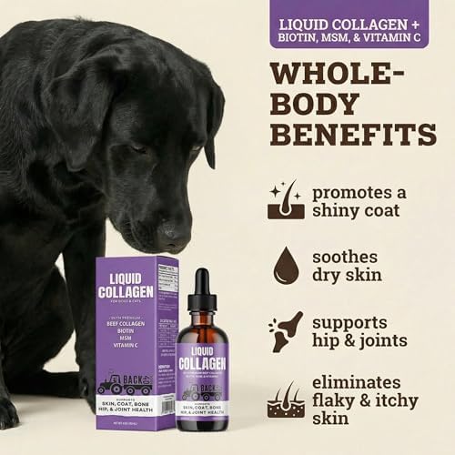 Back 40 Dogs Premium Grass-Fed Liquid Collagen for Dogs Skin and Coat, Hips and Joints | Allergy Relief with Biotin, Vitamin C and MSM for Joint, Nails & Immunity | Made in USA