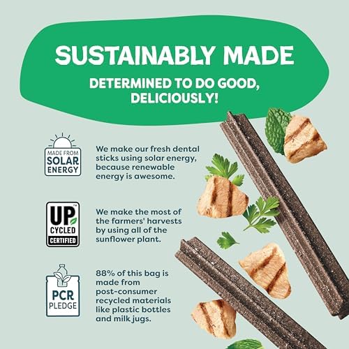 Shameless Pets Chicken & Mint Dental Chews for Dogs, 32 Chews