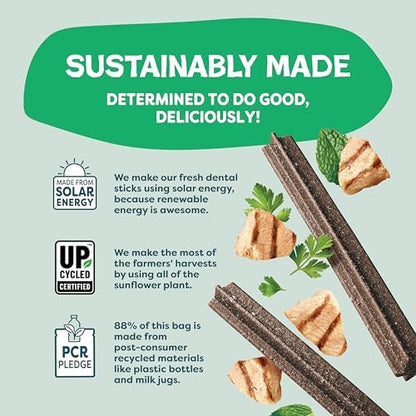 Shameless Pets Chicken & Mint Dental Chews for Dogs, 32 Chews