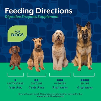 NaturVet Digestive Enzymes with Pre & Probiotic Dog Supplement - 70 Count