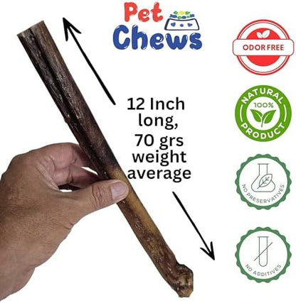 12" Jumbo Bully Sticks (10 Pack) - 70g Average per Stick (700g Total) - 100% Natural Grass-Fed Beef Pizzle, Odor-Free - Long Lasting Chews for Large Dogs & Power Chewers