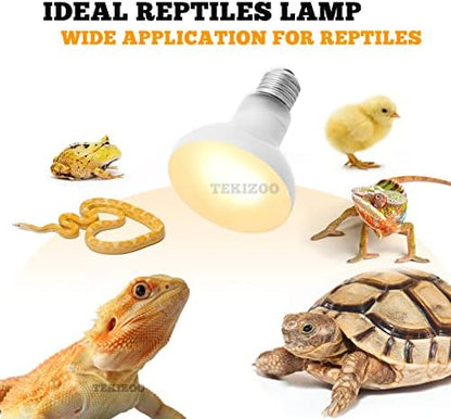 Heat Lamp Bulbs Reptile Basking Light Spot Daylight for Bearded Dragon,Lizard,Tortoise,Amphibian 75W(2 Pack)
