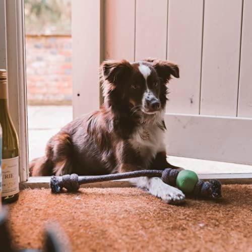 Beco Ball with Rope Small Dog Toy (Green), 5060189751334