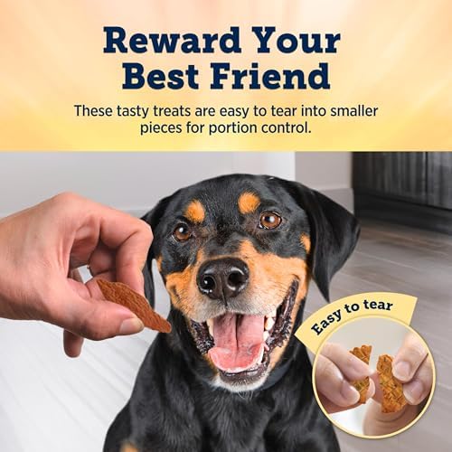 Blue Buffalo True Chews Chicken Bacon Dog Treats, 22 oz