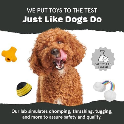 BARK Wild Borris Super Chewer Dog Toy Small