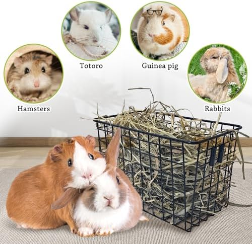 kathson 2Pcs Rabbit Hay Feeder Metal Bunny Hay Holder Guinea Pig Hay Rack Reduce Mess Chinchilla Grass Dispenser Small Animlas Hay Manger for Cage Supplies