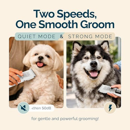 Dog Clippers, Dog Hair Trimmer & Cordless Dog Grooming Kit