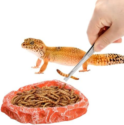 Frcctre 4 Pack Reptile Food Dish with Feeding Tongs, Resin Reptile Water Dish Food Bowl Feeding Terrarium Bowl for Leopard Gecko Lizard Tortoise Hermit Crab Bearded Dragon Chameleon, Orange