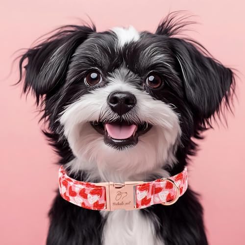 Valentines Dog Collar, Cute Pink Valentine Dog Collars, Doodle Heart Pattern, Adjustable Heavy Duty Pet Collar for Small Medium Large Dogs with Metal Buckle L
